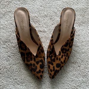 Pointed toe, slip on leopard print mules with kitten heel
